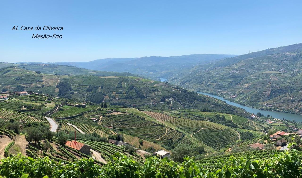 Casa Da Oliveira Villa Mesão Frio Екстериор снимка