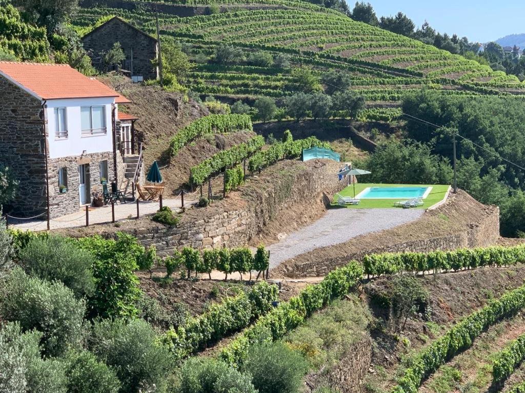 Casa Da Oliveira Villa Mesão Frio Екстериор снимка