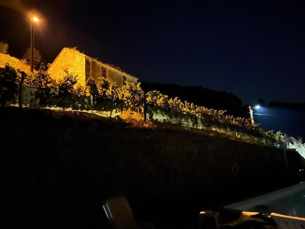 Casa Da Oliveira Villa Mesão Frio Екстериор снимка