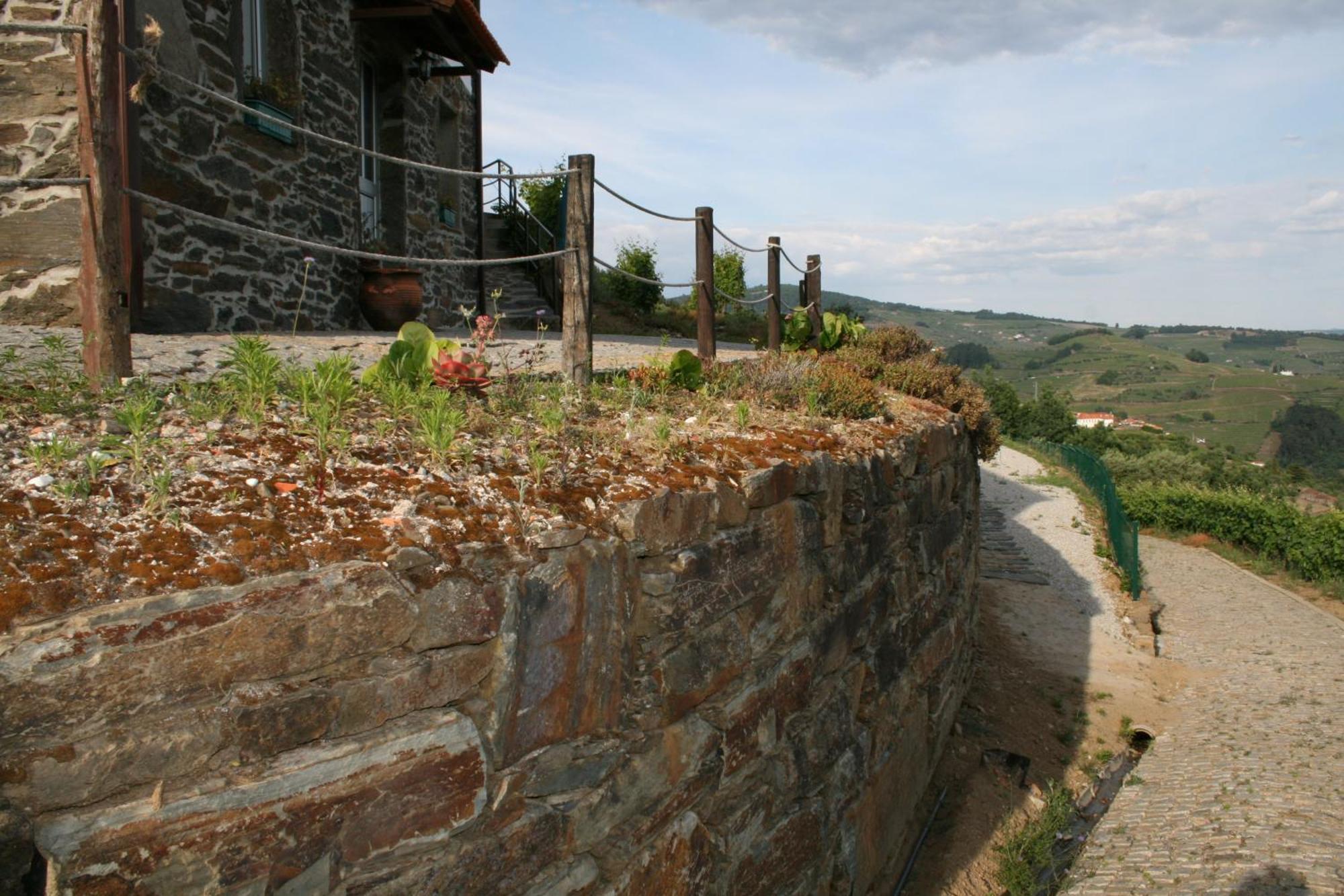 Casa Da Oliveira Villa Mesão Frio Екстериор снимка